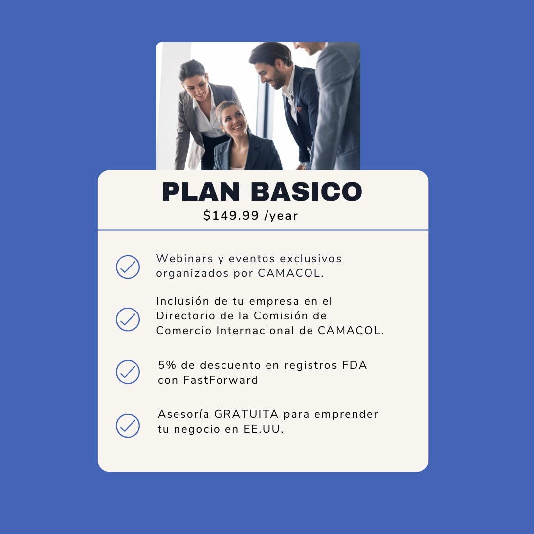 PLAN BASICO